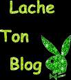 lache tn blog