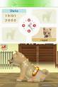 dogs quand on le peigne