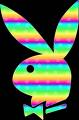 playboy